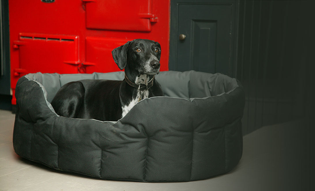 superior pet beds for dogs and cats